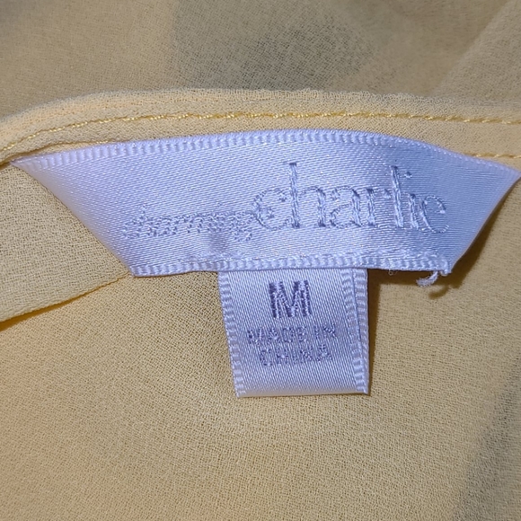 Charming Charlie Yellow Chiffon Stripe Blouse Top - Picture 5 of 6